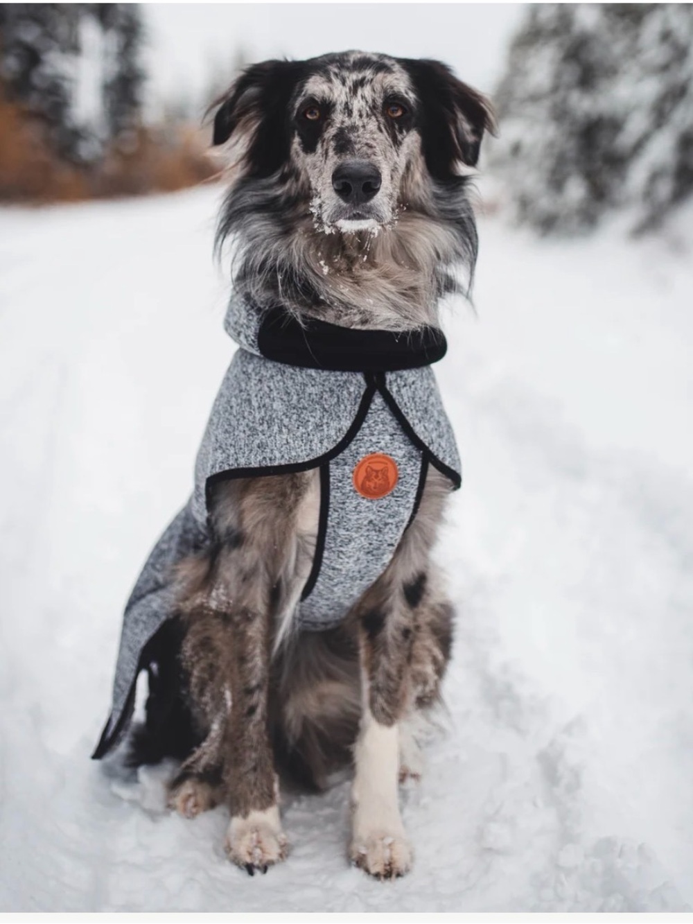 Heather Gray Winter Dog Coat with Orange Patch